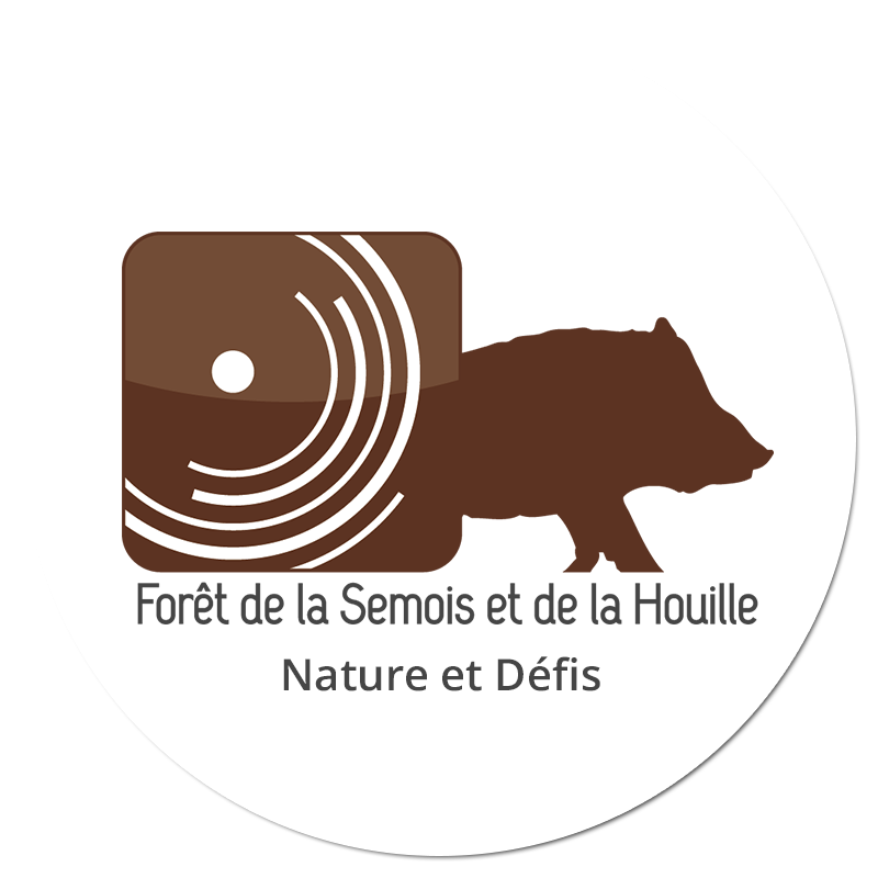 Forêt de la Semois et de la Houille