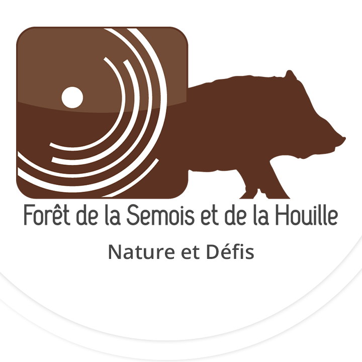 La forêt de la Semois et de la Houille - Nature et Défis