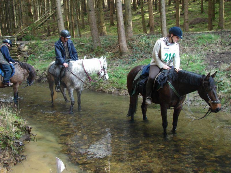 Club Equestre du Moulin